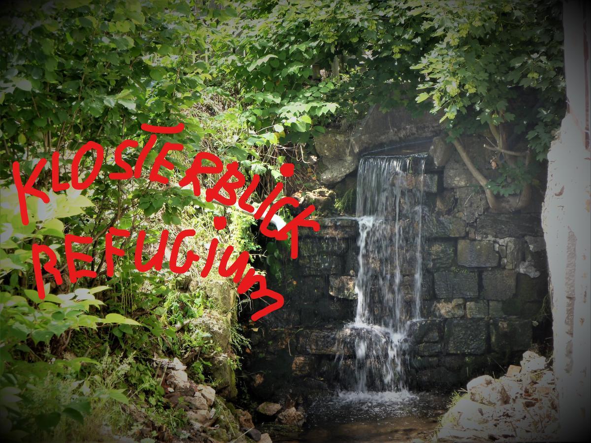 Klosterblick Walkenried